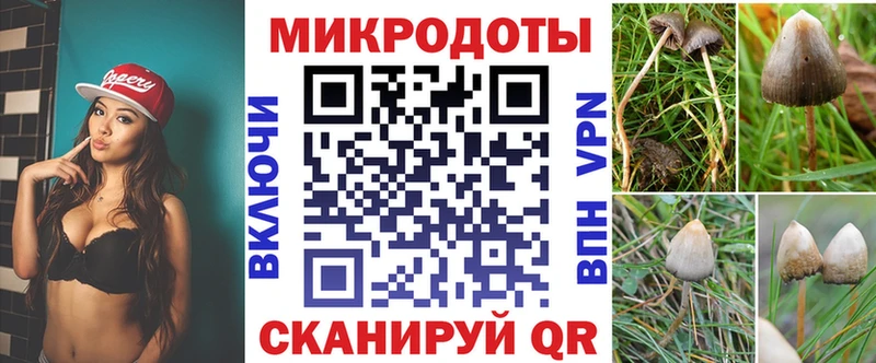 Псилоцибиновые грибы Magic Shrooms  blacksprut ТОР  Звенигород 