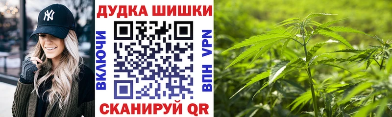 площадка состав  Звенигород  Марихуана индика 